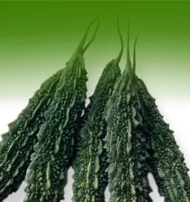 Navaneetha (Bitter Gourd)