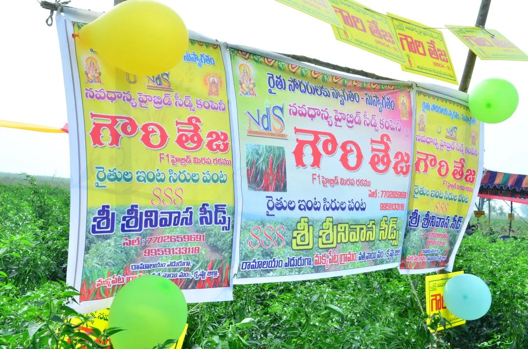 Gowri Teja