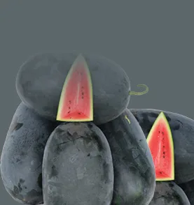 Madhu (Watermelon)